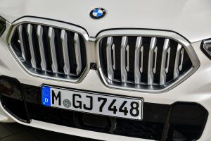 BMW X6 xDrive30d M Sport 2019 года  (WW)